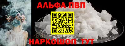 бошки Кингисепп