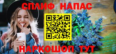бошки Кингисепп