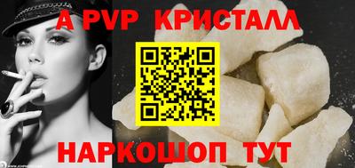 бошки Кингисепп