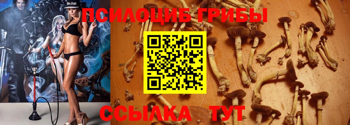 Псилоцибиновые грибы Psilocybine cubensis  Галлюциногенные грибы ЛСД  Коркино  сколько стоит  Вход с VPN 