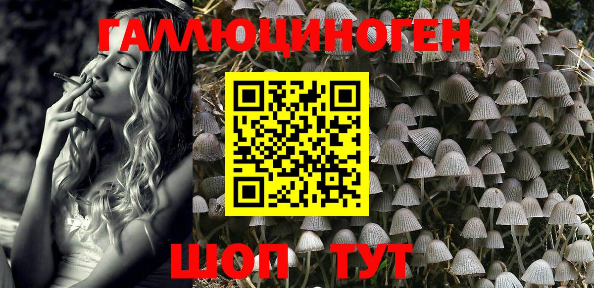 Галлюциногенные грибы GOLDEN TEACHER Коркино